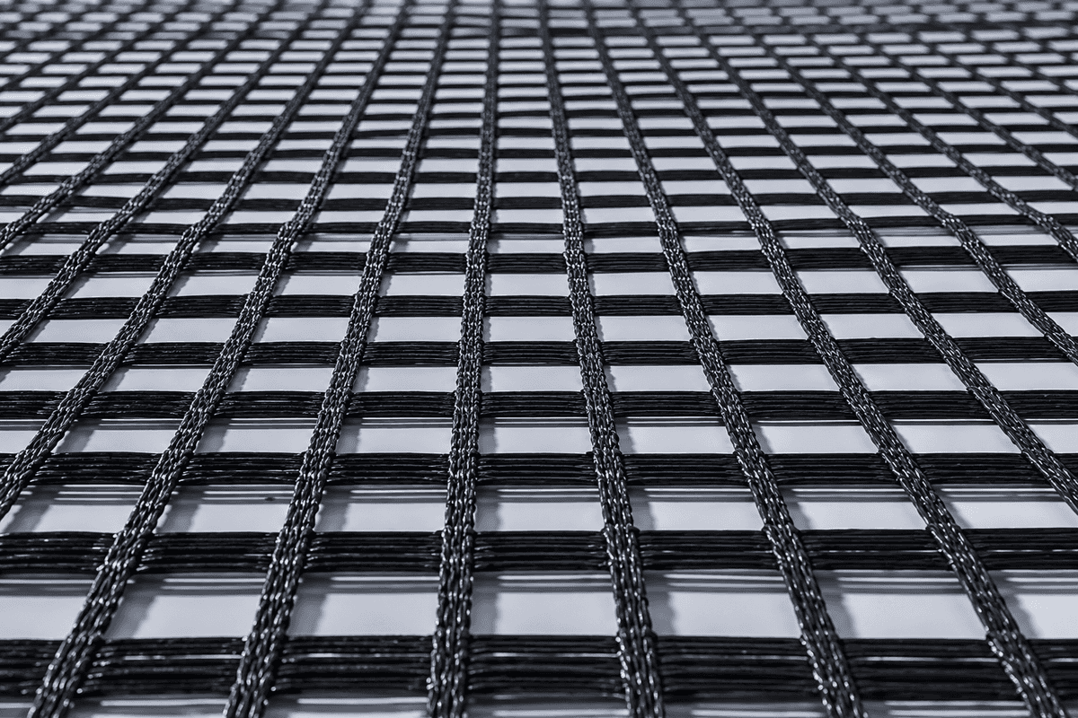 Geogrid